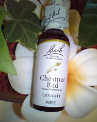  �`�F�X�g�i�b�g�o�b�g�@�o�b�`�t�����[�G�b�Z���X